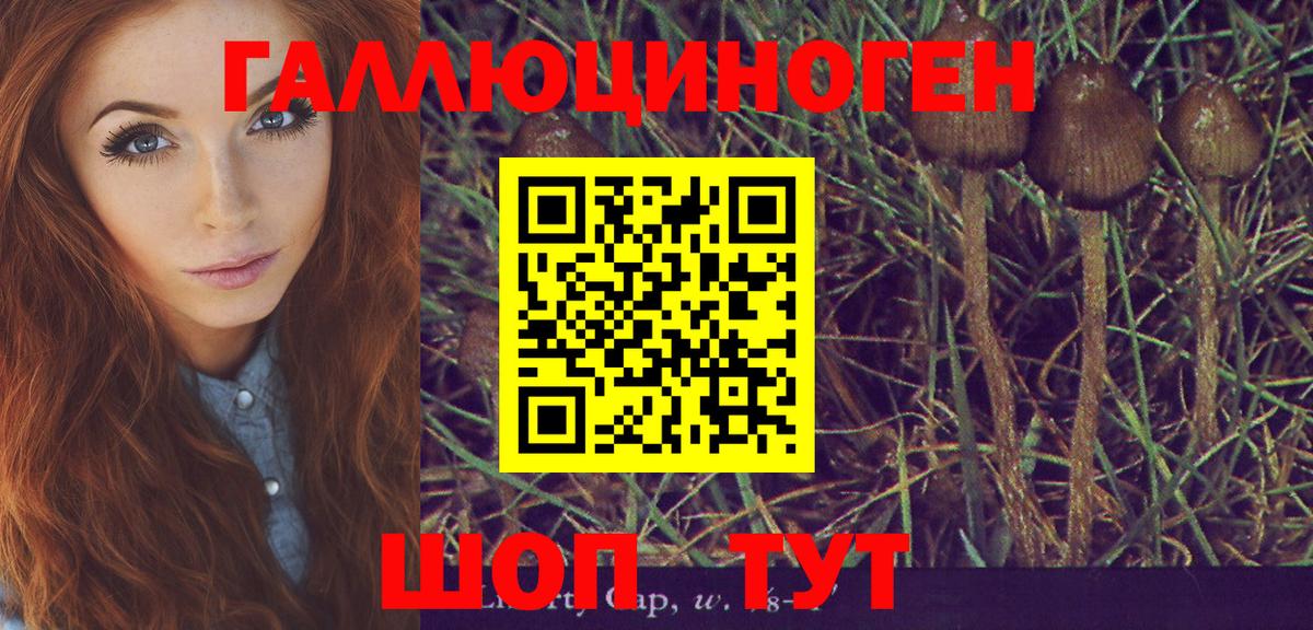 где продают   Псилоцибиновые грибы прущие грибы  Вход с VPN  Кемерово 